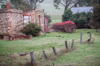 Peggy's House