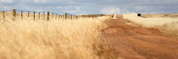Red Dirt Road